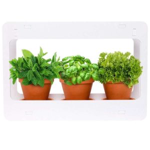 Mini Jardim em PVC c/ luz LED 14W 4000K 850Lm